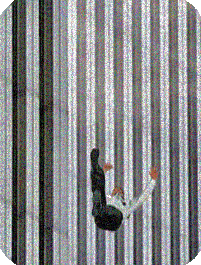 egf-jumpers