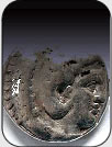 egf-medalist